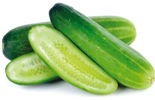 Fresh Organic Cucumber