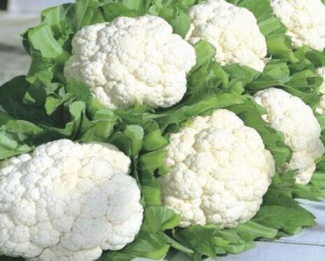 Natural White Cauliflower