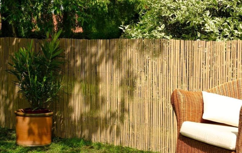 Bamboo Boundary Wall