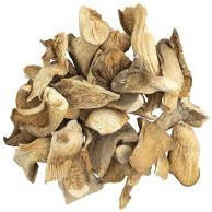 Brown Oyster Mushroom