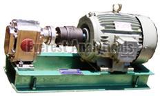 Gear Pumps