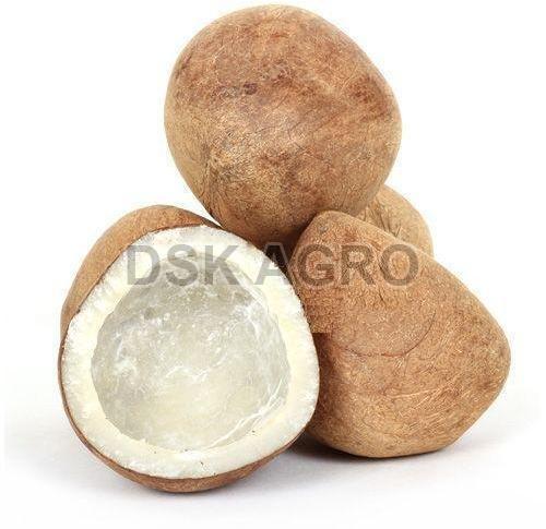 Dried Copra Coconut