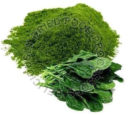 Dehydrated Spinach Powder