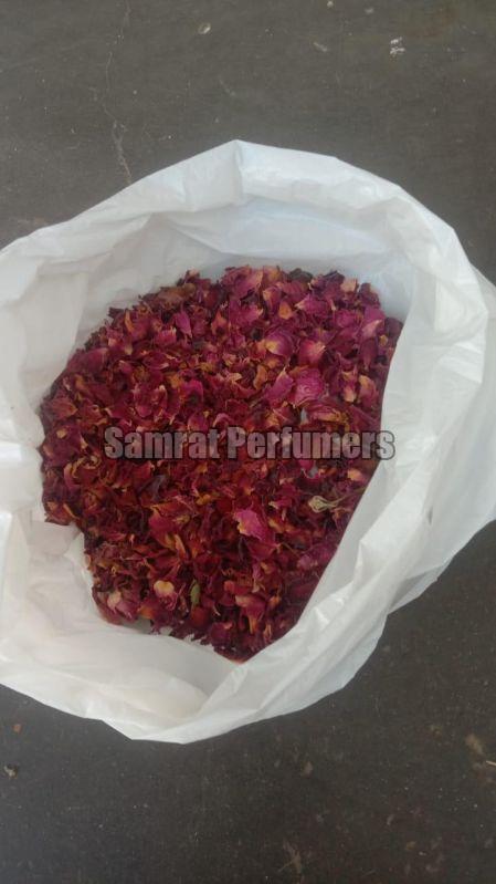 Red Dry Rose Petals