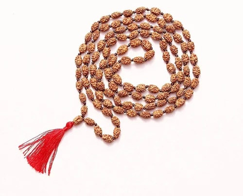 2 Mukhi Java Rudraksha Mala