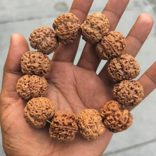 5 Mukhi Big Rudraksha Bracelet