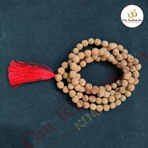 5 Mukhi Brown Rudraksha Mala