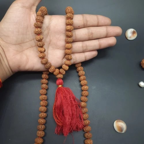 6 Mukhi Java Rudraksha Mala