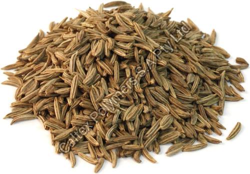 Caraway Seeds