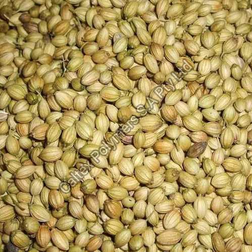 Coriander Seeds