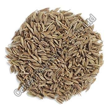 Cumin Seeds