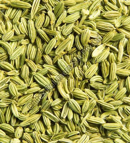 Fennel Seeds