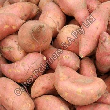 Fresh Sweet Potato