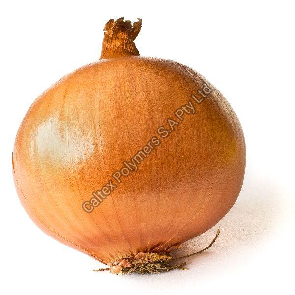 Fresh Yellow Onion