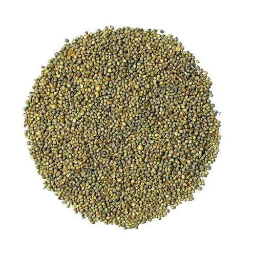 Pearl Millet Seeds