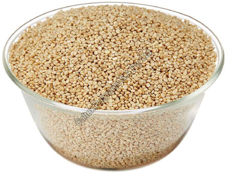 Quinoa Seeds