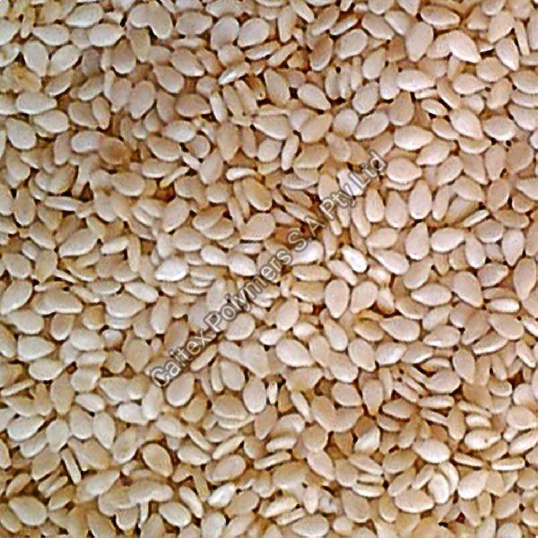 Sesame Seeds