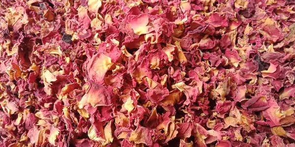 Sun Dried Rose Petals