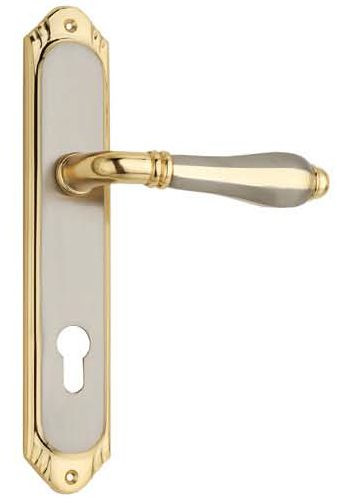 Aafil Brass Mortise Handle