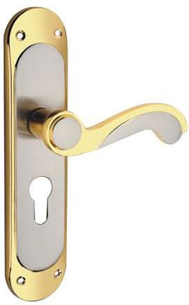 Alesha Brass Mortise Handle