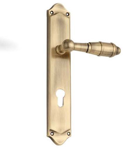 Desna Brass Mortise Handle