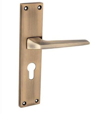 Livia Brass Mortise Handle