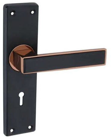 Soneta Stainless Steel Mortise Handle