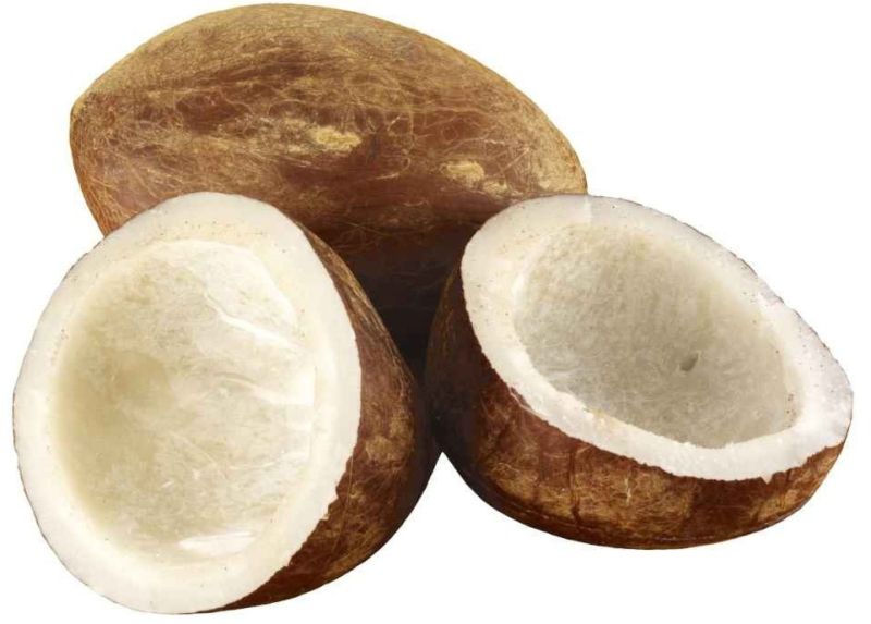 Dried Organic Coconut