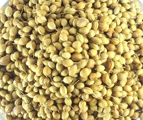 Coriander Seeds