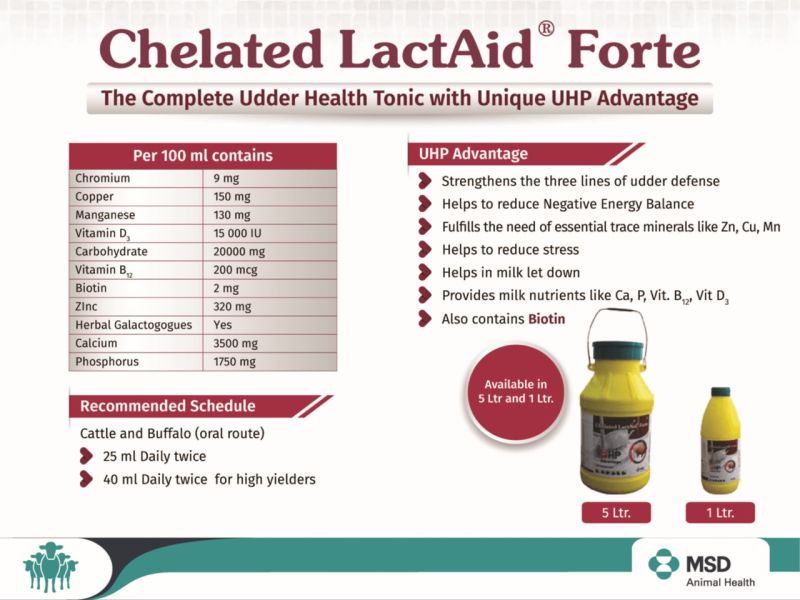 CHELATED LACTAID FORTE - 5LITRE