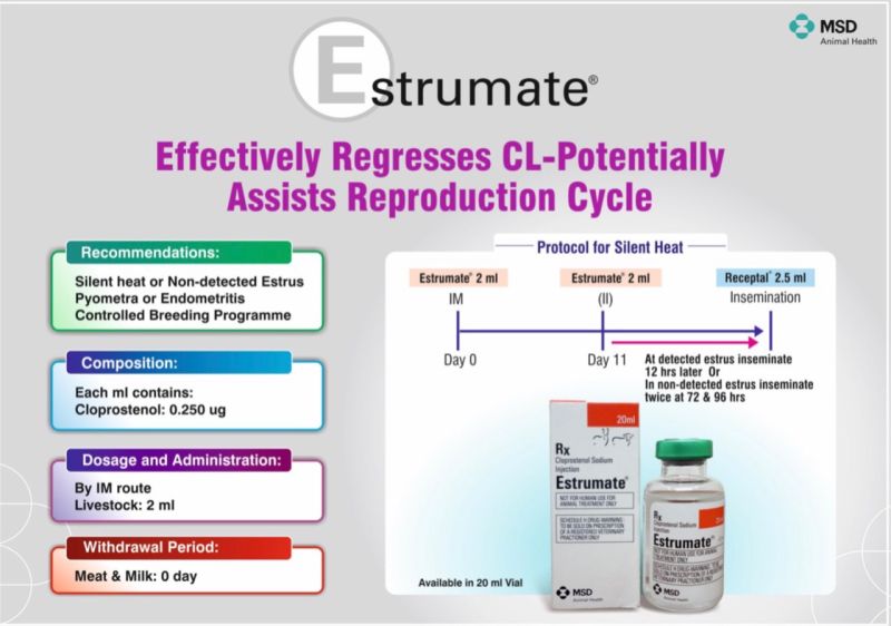 estrumate 20 ml injection