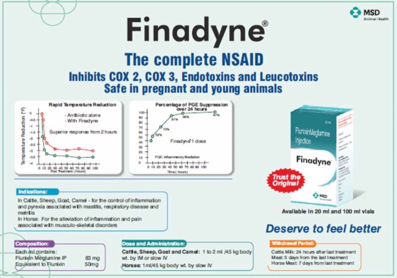 finadyne 100 ml injection