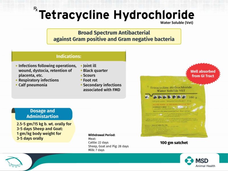 TETRACYCLINE HCL PWD W.S. 100G