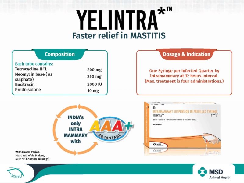 YELINTRA SYRINGE 8G