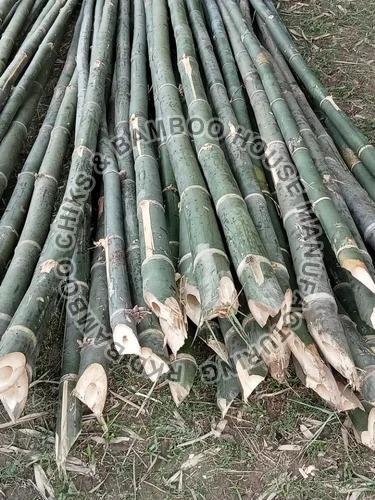 20 Feet Bambus Bamboo Pole