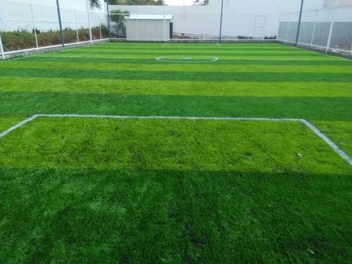 Artificial Grass Lawn