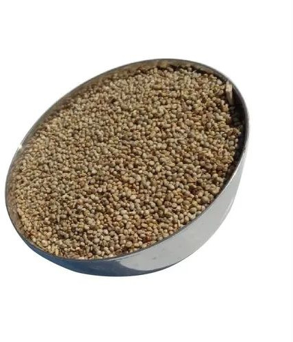 Pearl Millet Cattle Feed