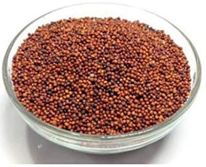 Finger Millet