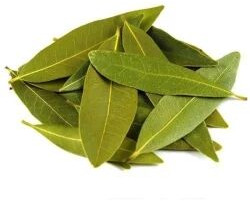 Bay leaf