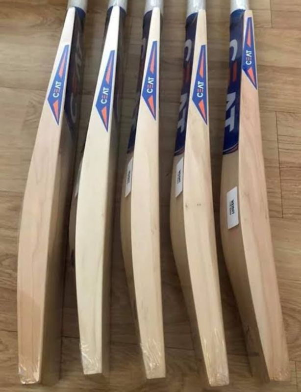 Kashmir Willow Cricket Bat