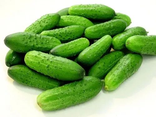 Fresh Gherkins