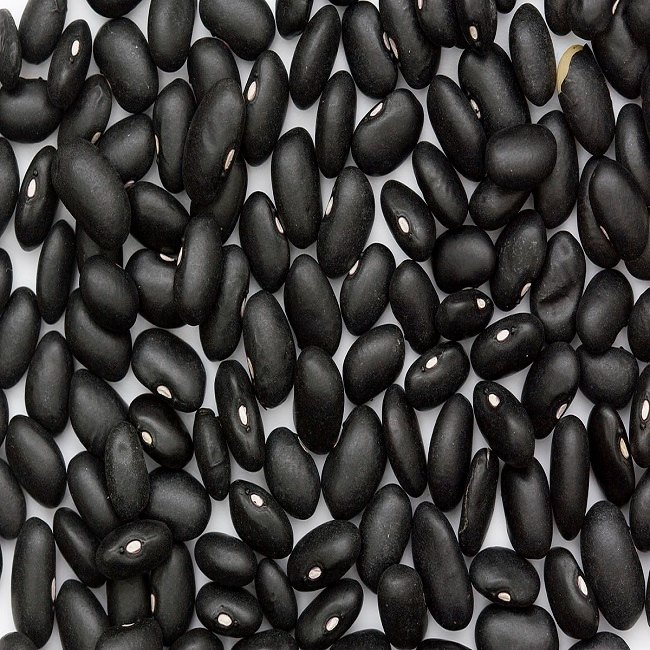 Black Kidney Beans