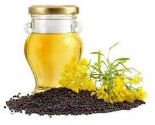 Rapeseed Oil