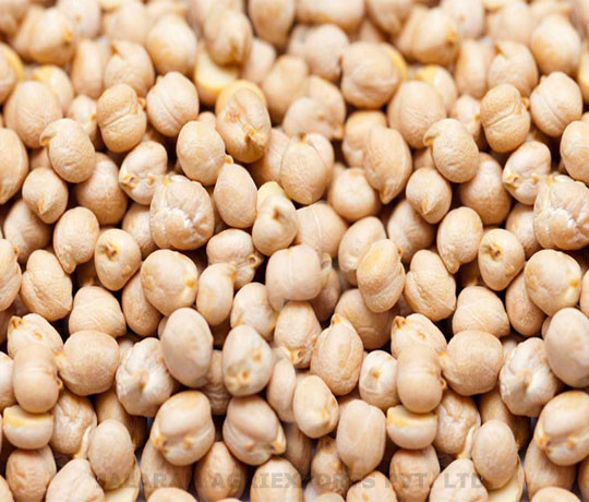 White Chickpeas