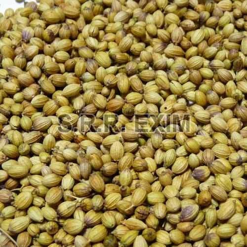 Organic Coriander Seeds