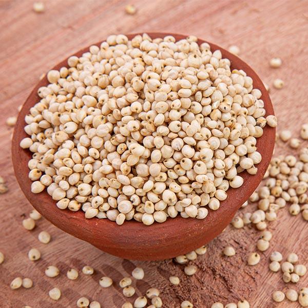 Sorghum Seeds