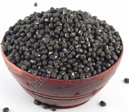 Black Sabut Urad Dal Exporter, Supplier from Chandigarh