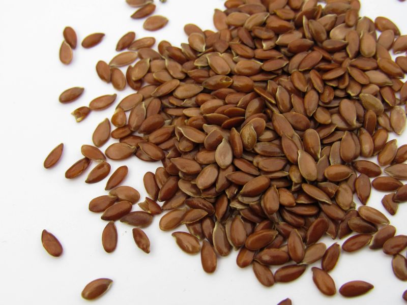 Flax Seed