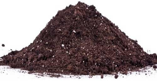 Organic Fertilizer Powder