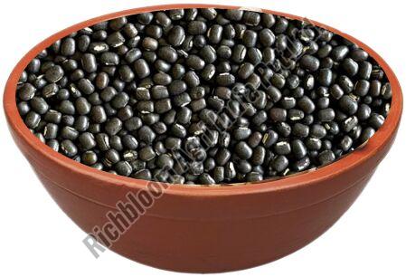 Richbloom Black Gram Seeds